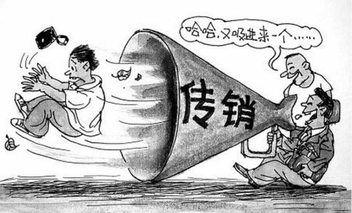 安徽最大传销案图片图片