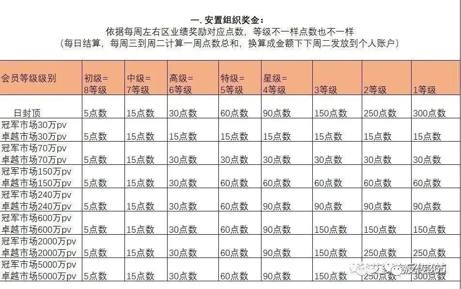 艾多美保护高级传销成员