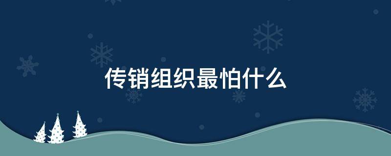 传销组织最怕什么呢？