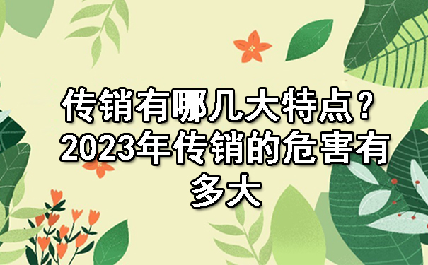 传销有哪几大特点？2023年传销的危害有多大